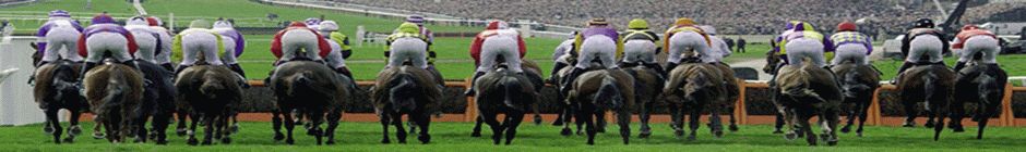 World Twenty20 Cricket Tickets header image 4